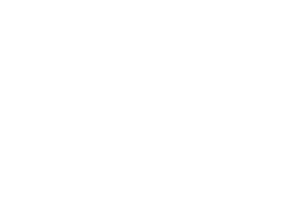 The Rare Smokey Mare