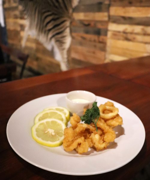calamari rings with lemon on plate
